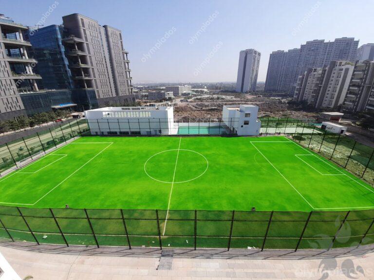 Turf store football ground