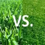 When to Choose Natural Grass Over Synthetic for Football Field Construction
