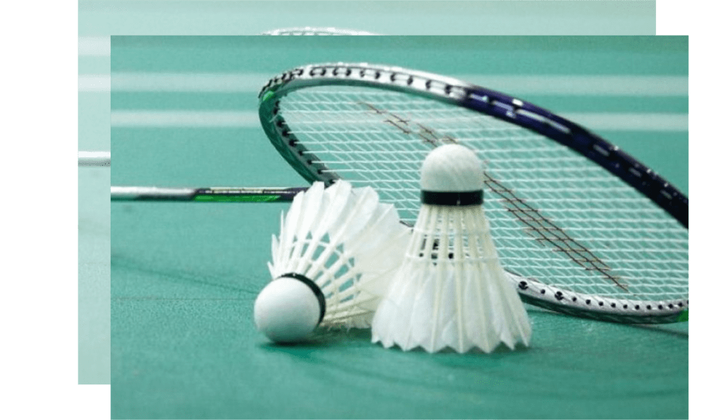 Badminton Racket And Bat