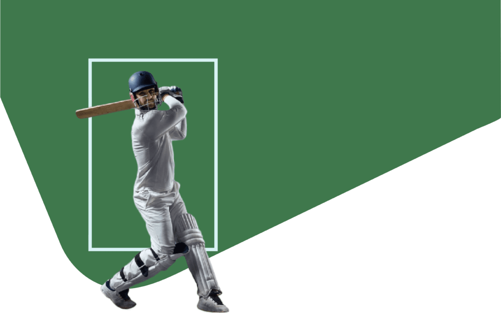 cricket banner image
