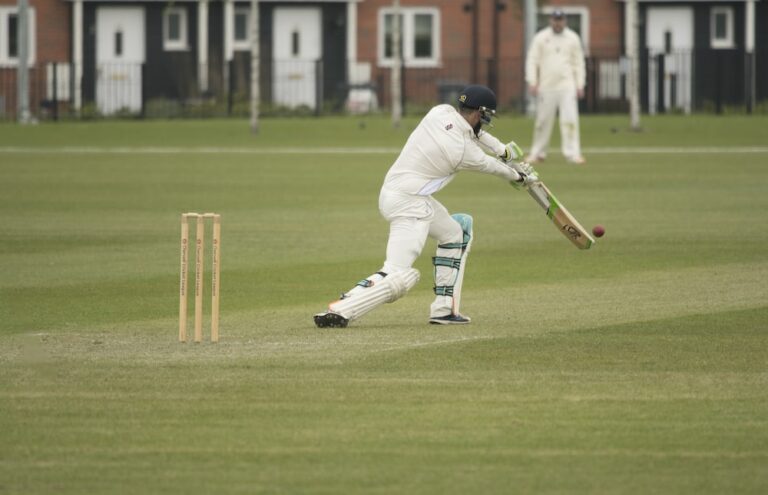 natural grass cricket pict