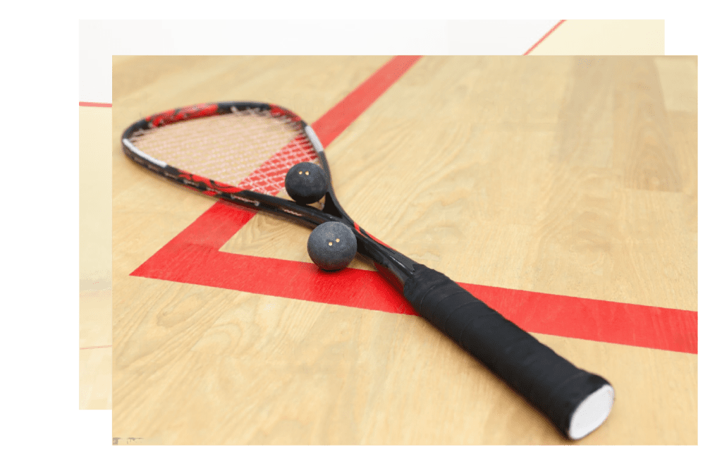 Squash Court Bat