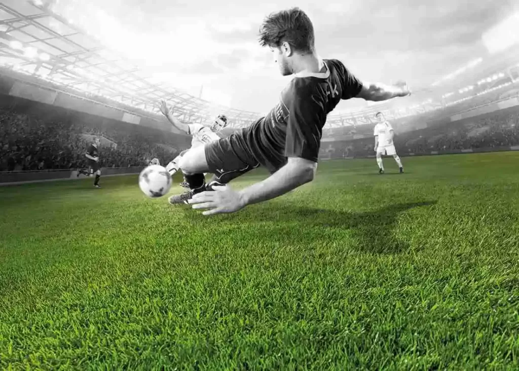 Sports Infrastructure Company