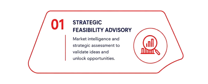 Strategic Feasibility Advisory
