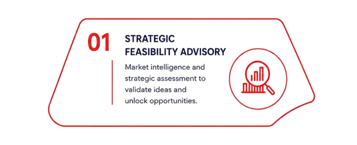 Strategic Feasibility Advisory